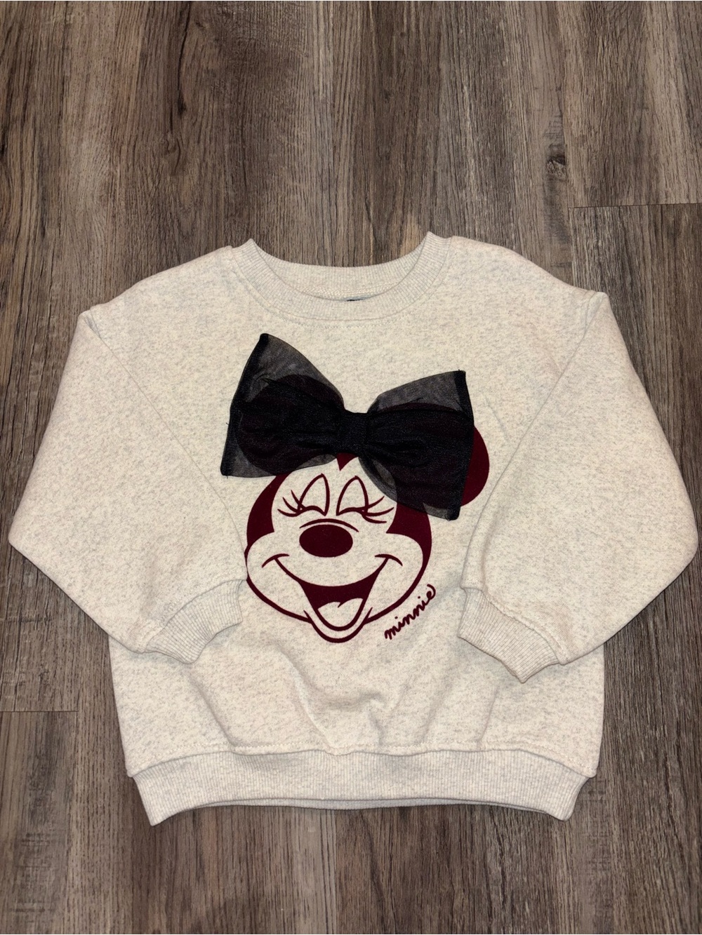 NEW W/Tags Minnie Mouse Toddler Sweatshirt